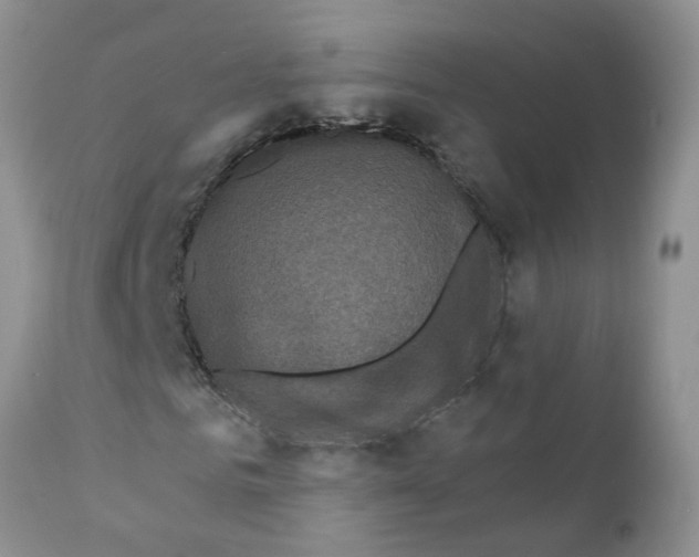 X0000111620961200908141314