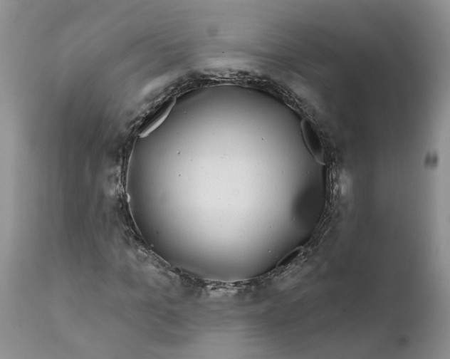 X0000111620965200908141314