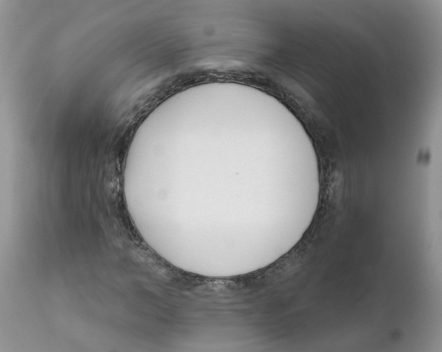 X0000111620966200908141314