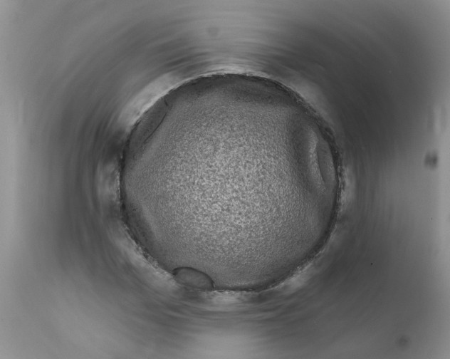 X0000111620969200908141314