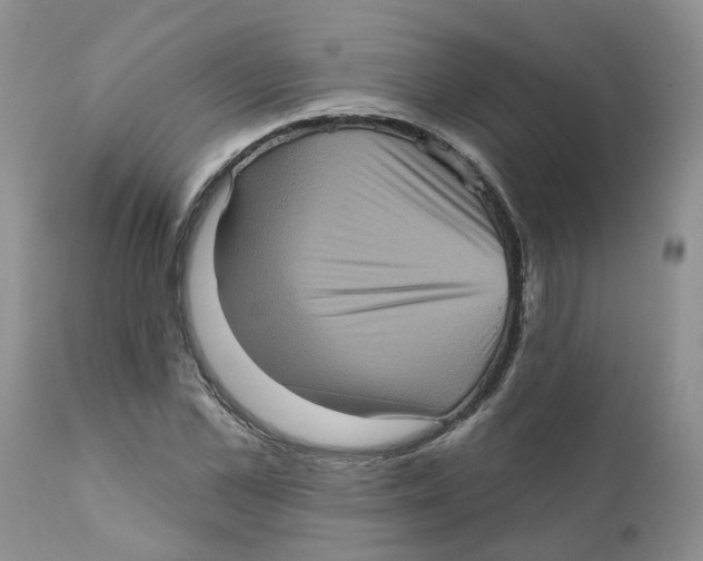 X0000111620973200908141314