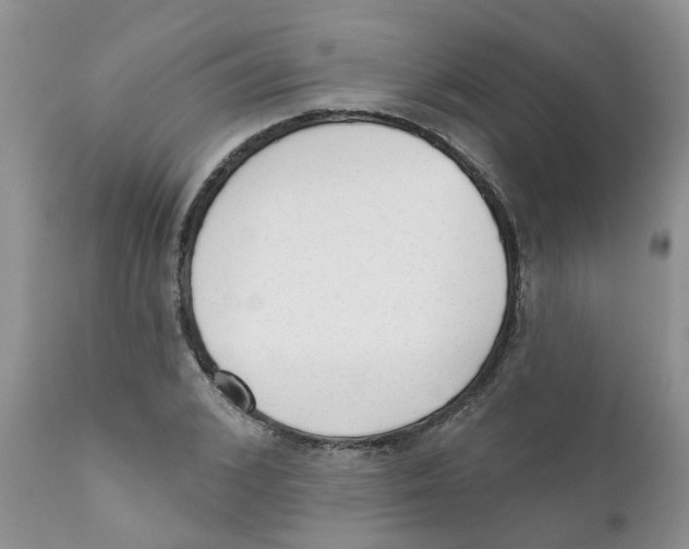 X0000111620976200908141314