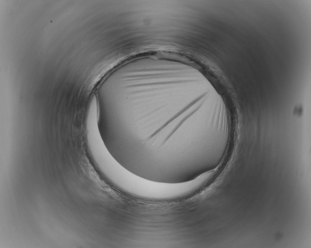 X0000111620977200908141314