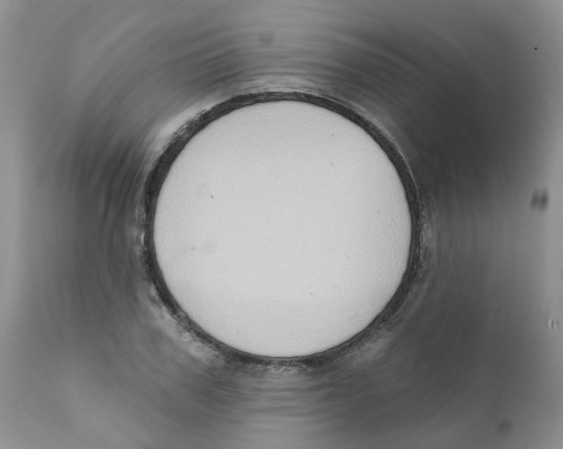 X0000111620979200908141314