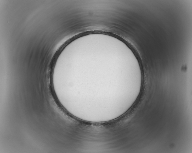 X0000111620983200908141314