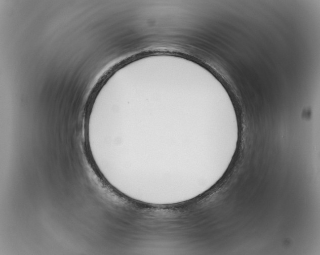 X0000111620984200908141314