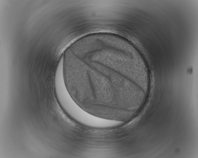 X0000111620985200908141314