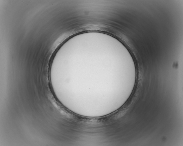 X0000111620986200908141314