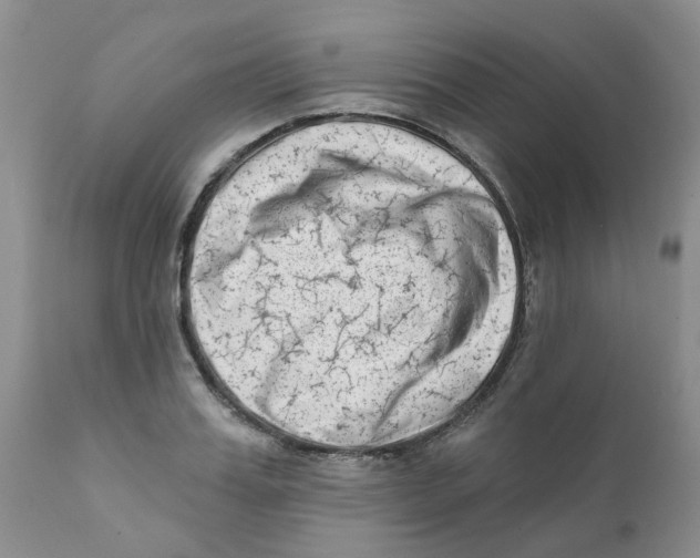 X0000111620987200908141314