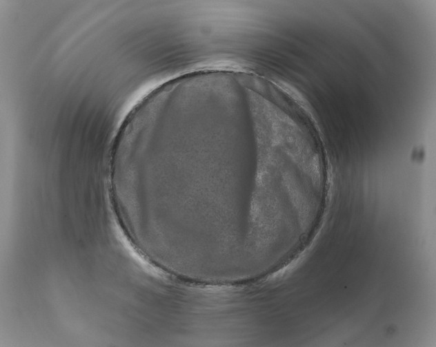 X0000111620989200908141314