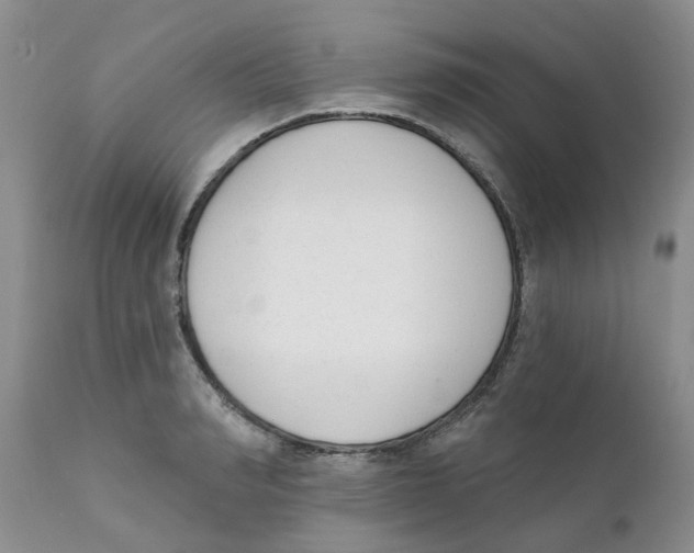 X0000111620990200908141314