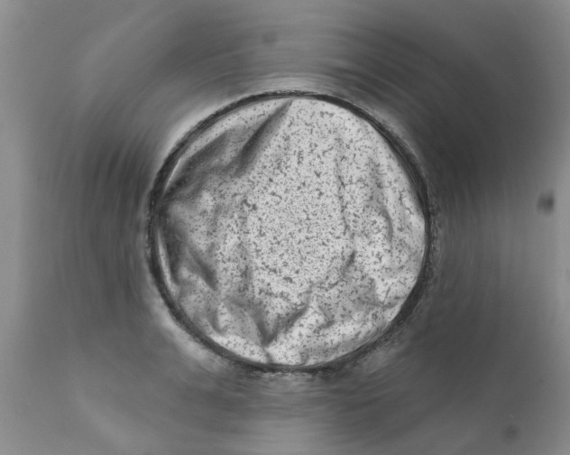 X0000111620991200908141314