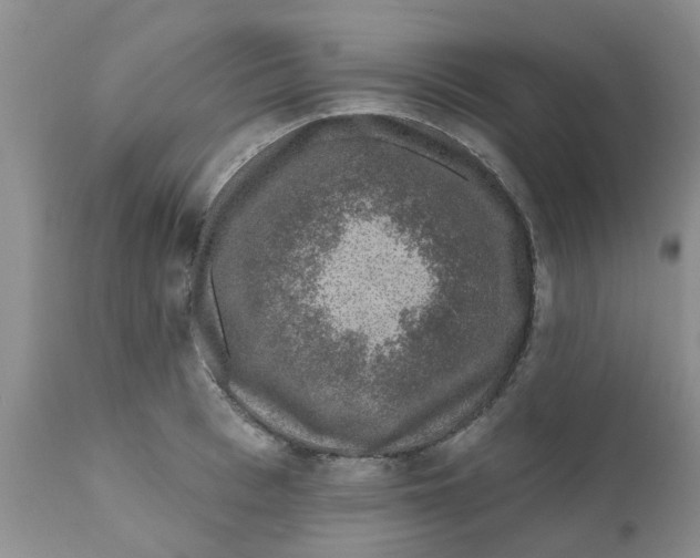 X0000111620993200908141314