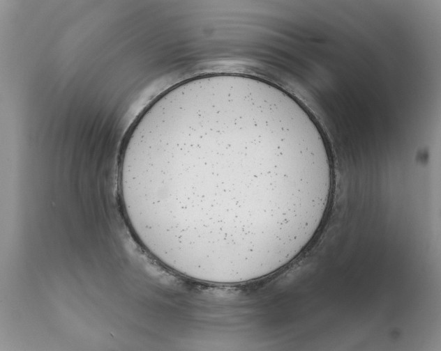 X0000111620994200908141314