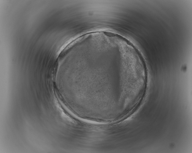 X0000111621001200908141314