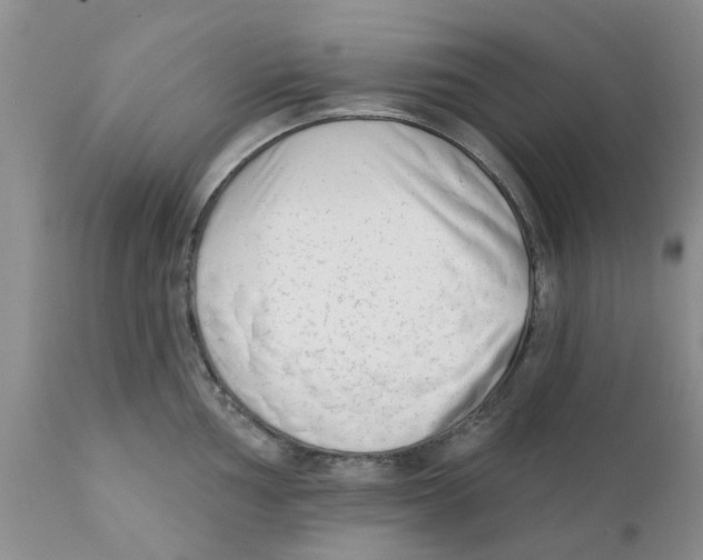 X0000111621002200908141314