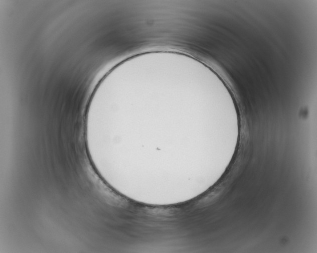 X0000111621004200908141314