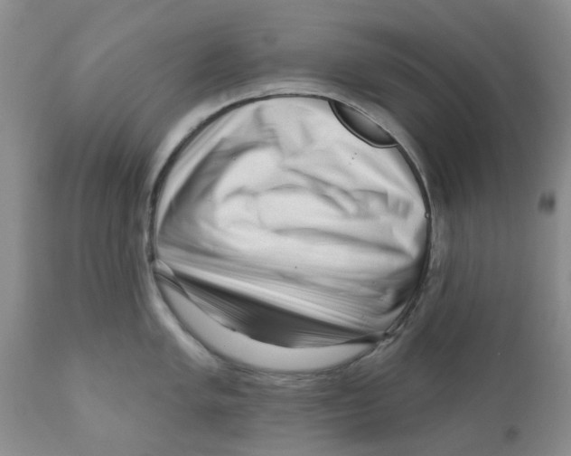 X0000111621005200908141314