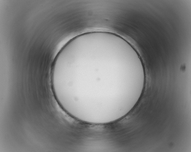 X0000111621006200908141314