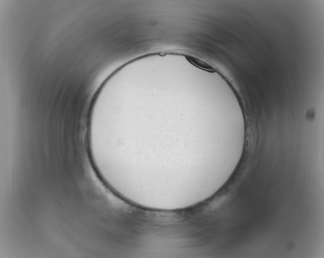 X0000111621007200908141314