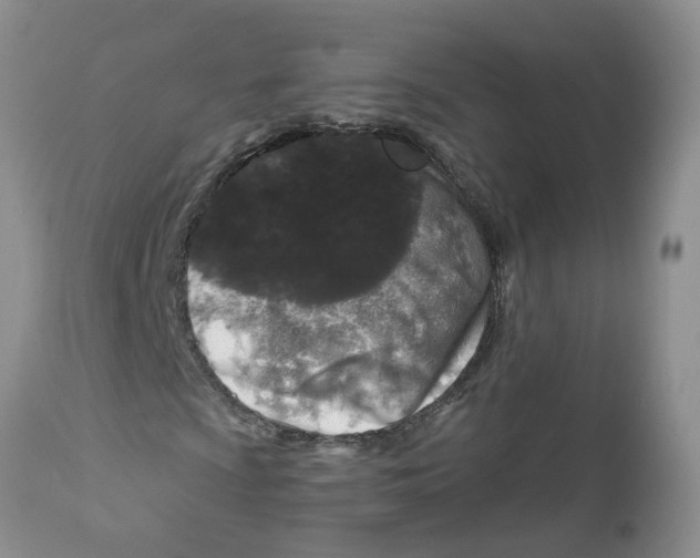 X0000111621009200908141313