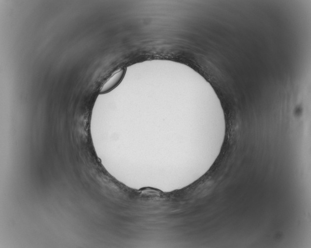 X0000111621010200908141313