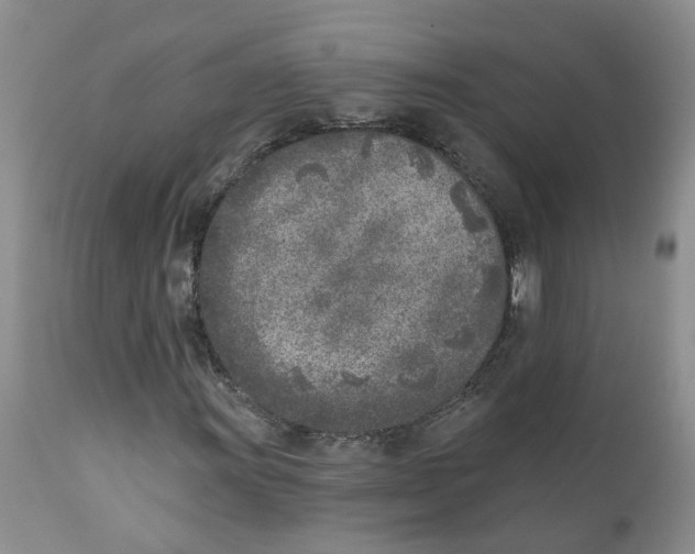 X0000111621011200908141313