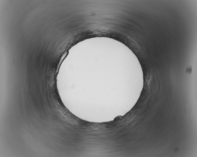 X0000111621012200908141313