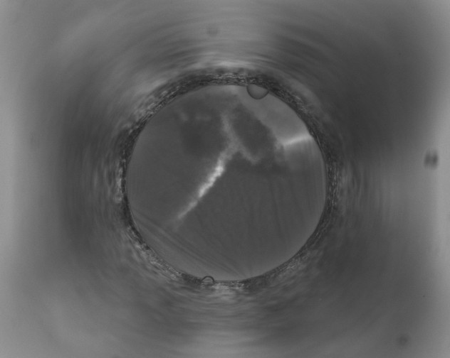 X0000111621013200908141313