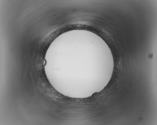 X0000111621014200908141313