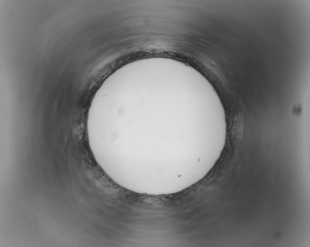 X0000111621015200908141313