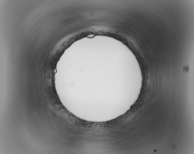 X0000111621016200908141313