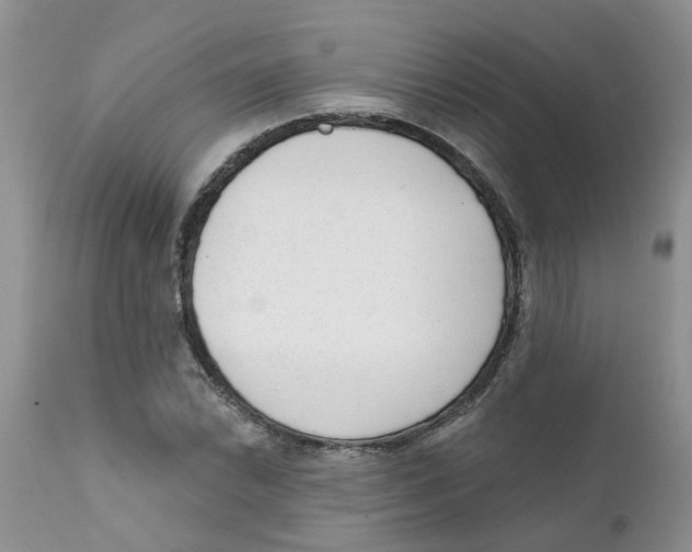 X0000111621022200908141313