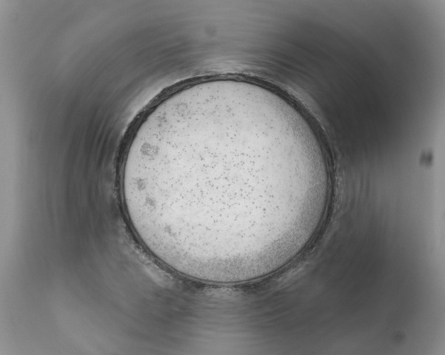 X0000111621023200908141313