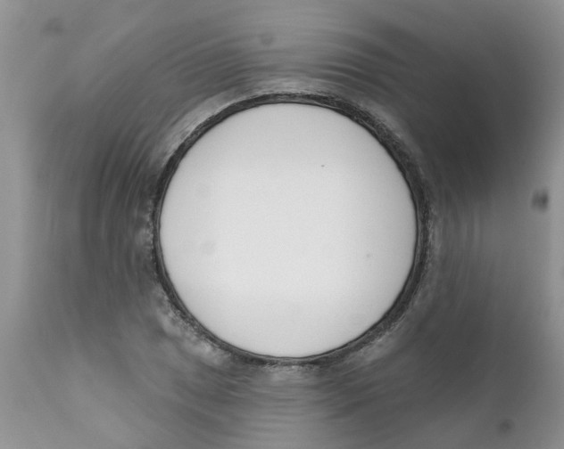 X0000111621025200908141313