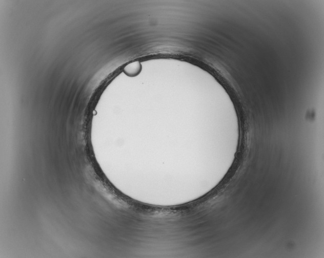 X0000111621026200908141313