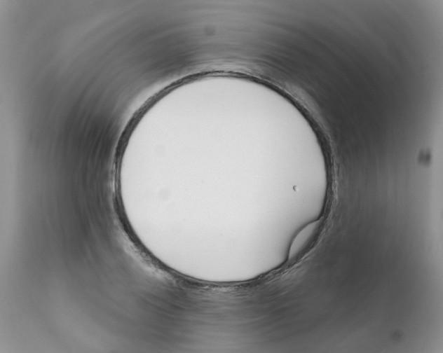 X0000111621028200908141313