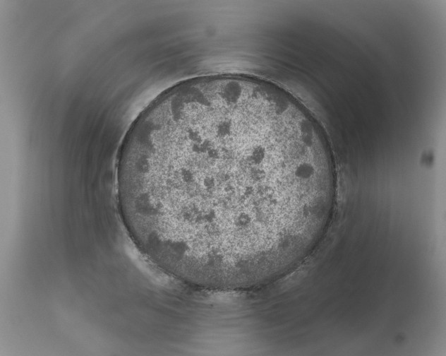 X0000111621031200908141313