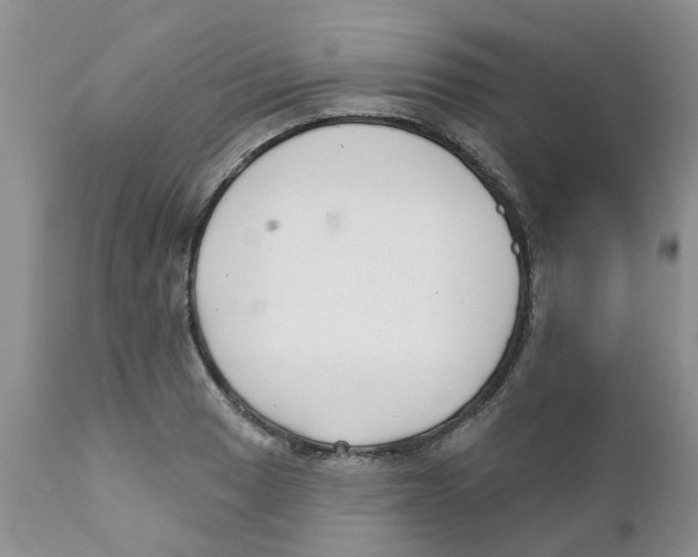 X0000111621033200908141313