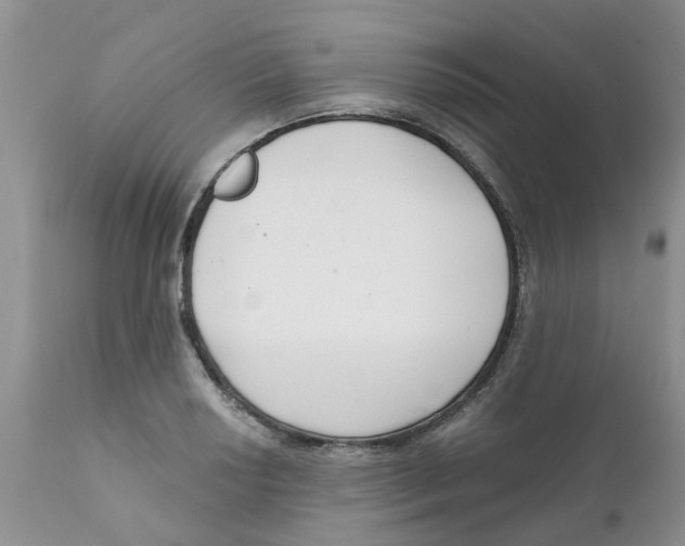 X0000111621034200908141313