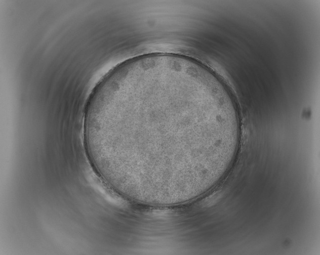 X0000111621035200908141313