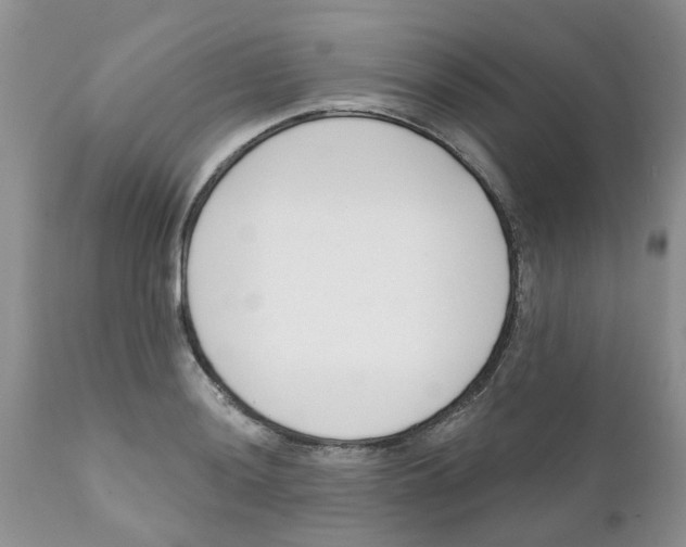 X0000111621036200908141313