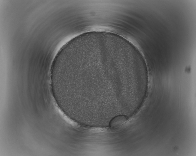 X0000111621037200908141313