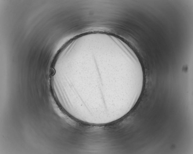 X0000111621038200908141313