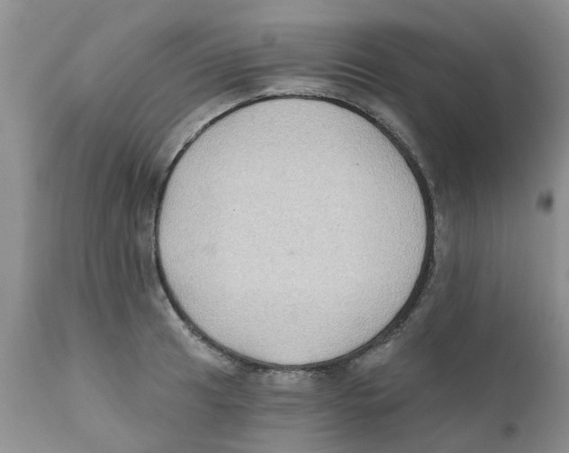 X0000111621041200908141313