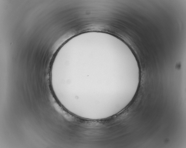 X0000111621042200908141313