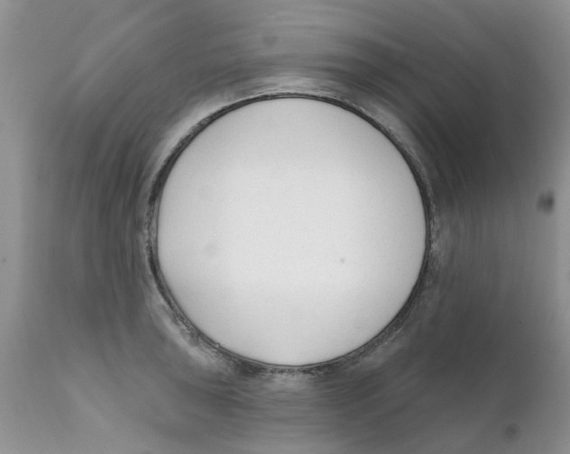 X0000111621043200908141313