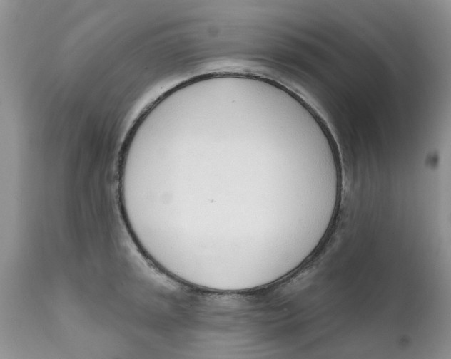 X0000111621045200908141313