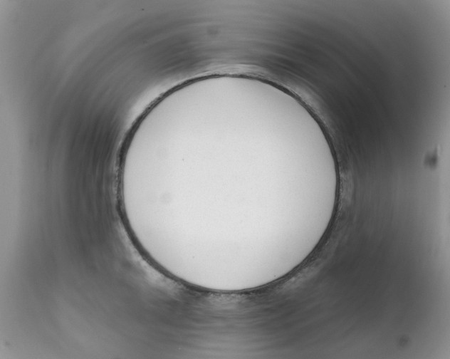 X0000111621046200908141313