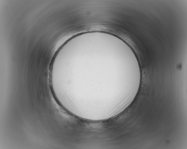 X0000111621047200908141313